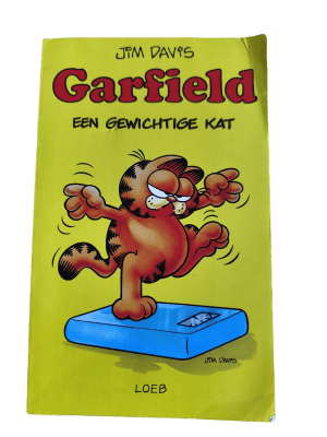 Garfield Pocket 6 - Een gewichtige kat