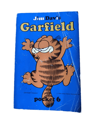 Garfield Pocket (6)