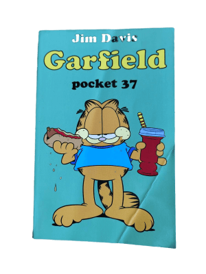 Garfield Pocket (37)