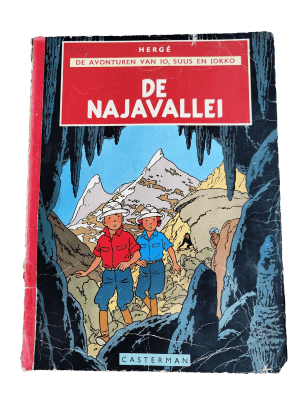 Jo, Suus en Jokko 5 - De Najavallei